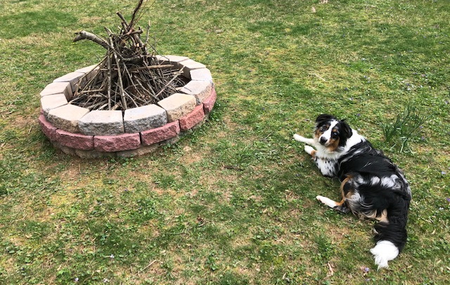 Campfire